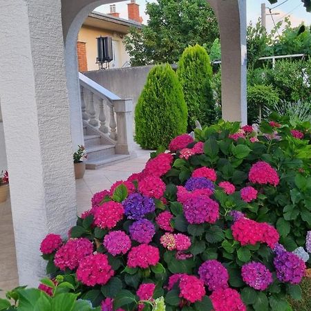 Apartment Nina Novi Vinodolski Dış mekan fotoğraf