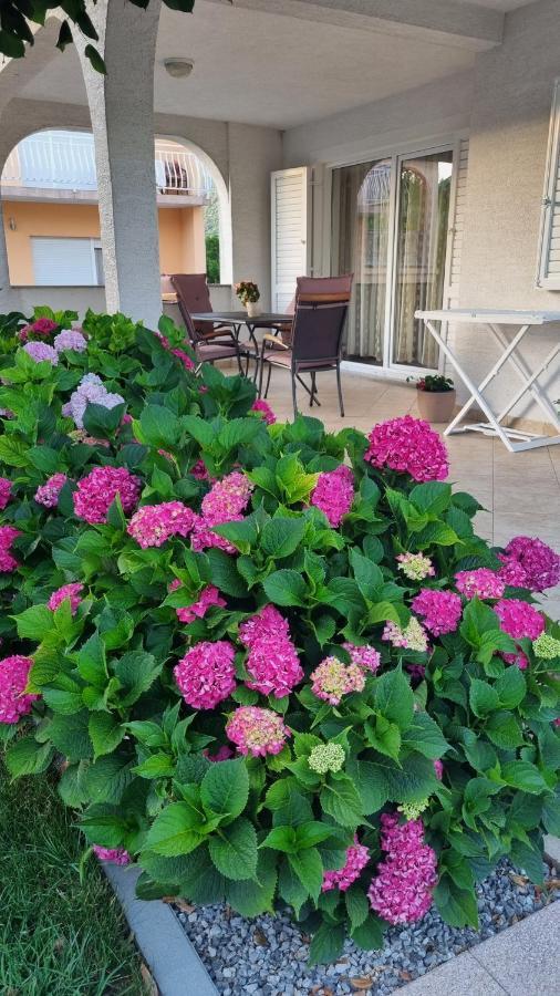 Apartment Nina Novi Vinodolski Dış mekan fotoğraf