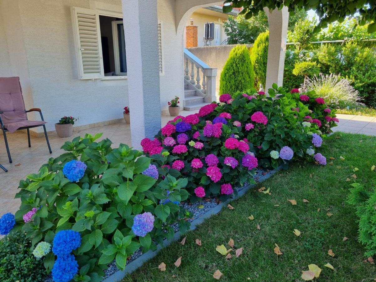 Apartment Nina Novi Vinodolski Dış mekan fotoğraf