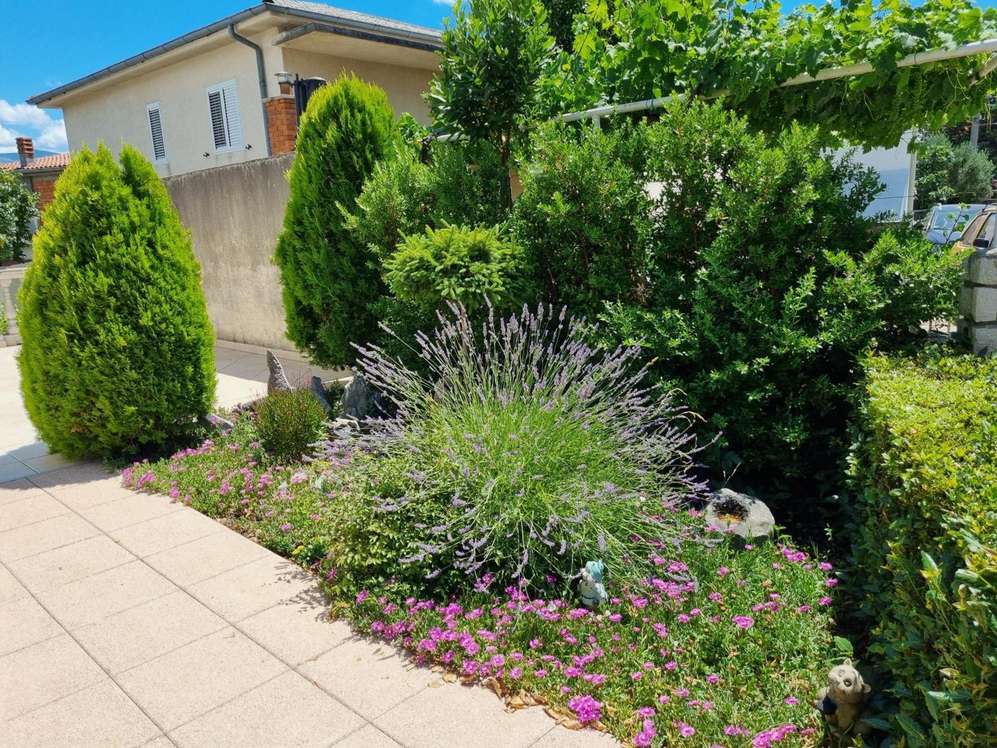 Apartment Nina Novi Vinodolski Dış mekan fotoğraf